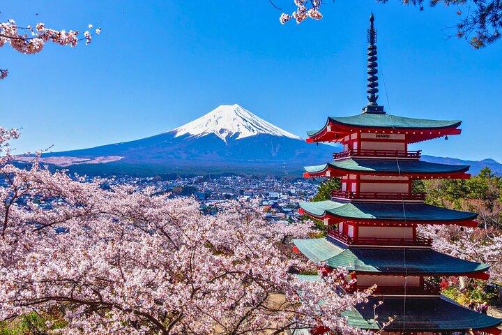 現地英語ガイド付き富士山プライベートカスタムツアー