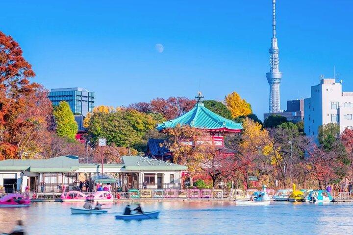 Tokio Privéwandeltocht – Ueno, Ameyoko & Kanda