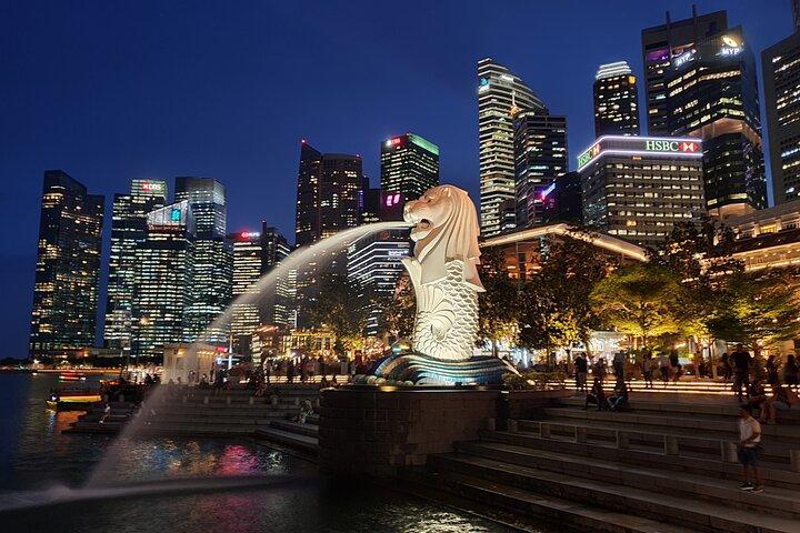 Singapore Night River Cruise mit Garden Rhapsody und Spectra
