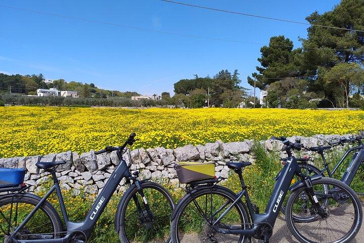 イトリア渓谷でのスマートで簡単なebikeツアー：マルティナフランカ-ロコロトンド