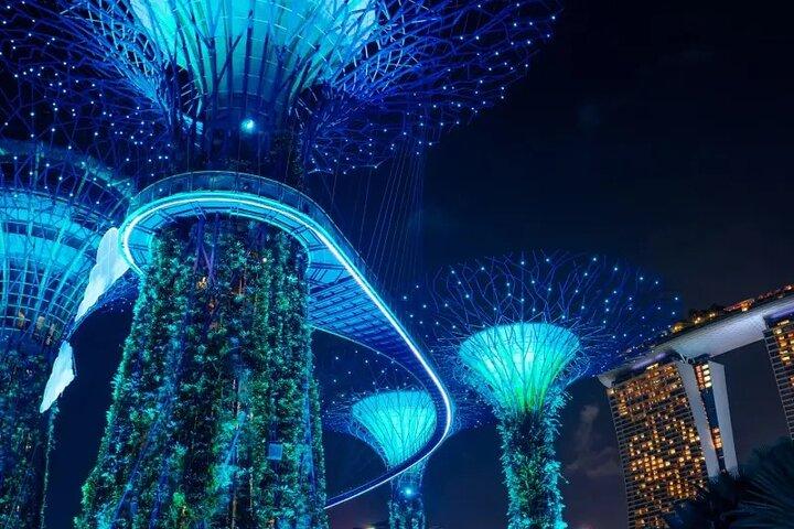 Singapore Night River Cruise mit Garden Rhapsody und Spectra