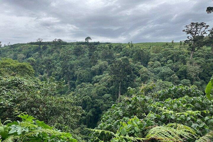 Meru Forest Napuru Vattenfall Vandring Dagstur