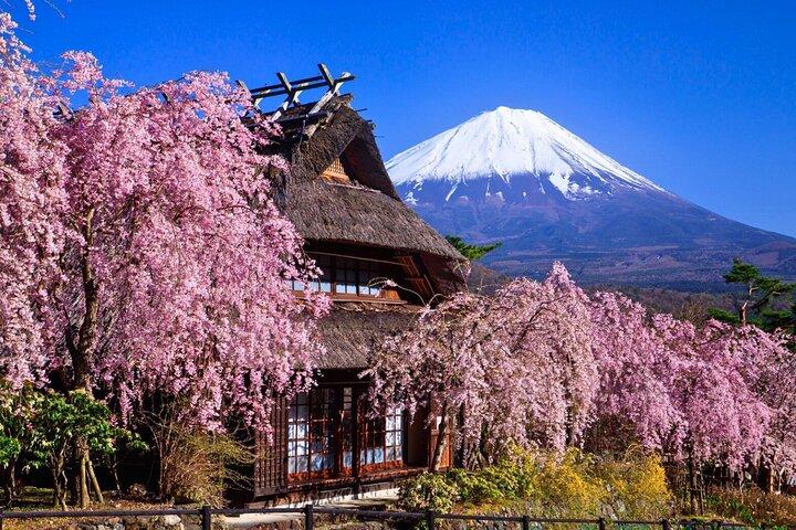 現地英語ガイド付き富士山プライベートカスタムツアー