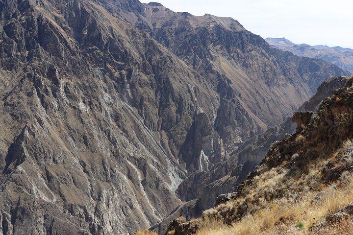Excursion d'une journée au canyon de Colca au départ d'Arequipa