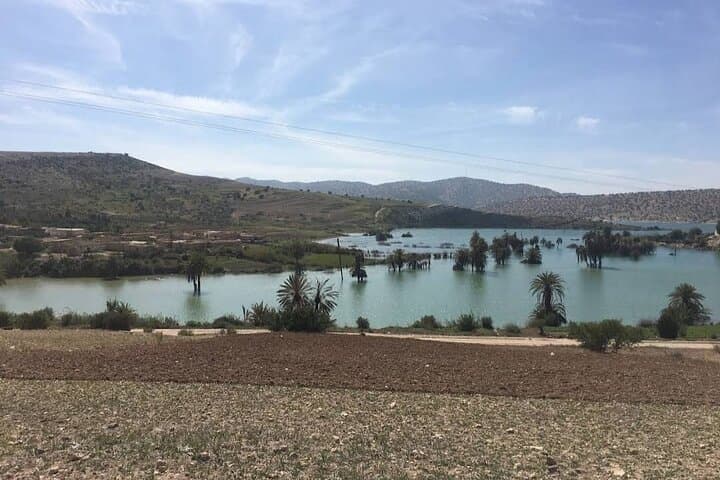 Day Trip: Nature & Essaouira Desert