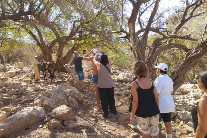 Day Trip: Nature & Essaouira Desert