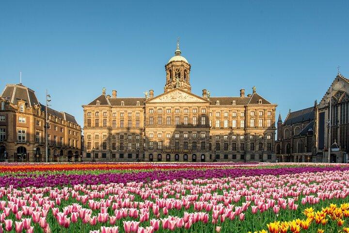 Essential Amsterdam guidet vandretur