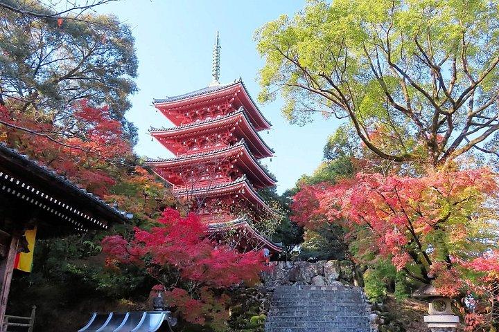 1-Day Kochi Highlights Tour with local guide