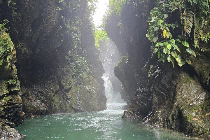 カリ発ドナウ川とセイレーンのオアシスへの日帰り旅行