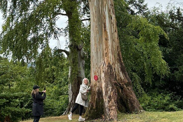 ウィックロー・ガーデン・ツアー：アイルランドで最も素晴らしいガーデン＆フレーバー