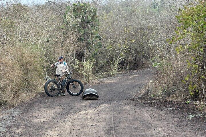 Tour di 5 giorni per esplorare Santa Cruz, Isabela e Santa Fe Galapagos