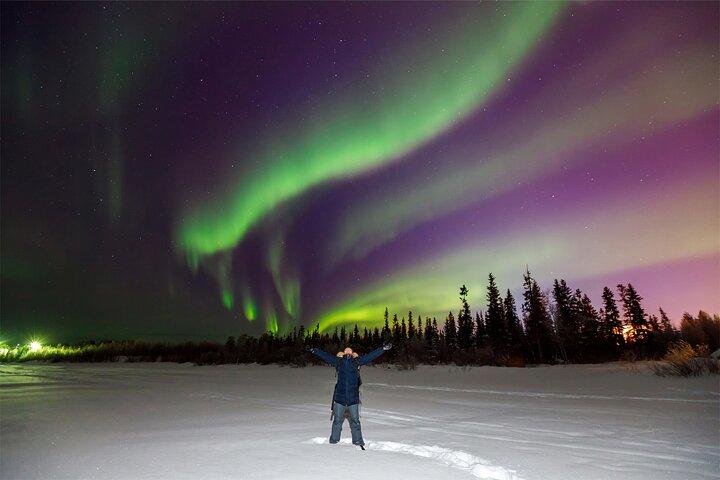 Rovaniemi : Aurora Explorer : 3 uur durende Northern Lights Adventure Tour
