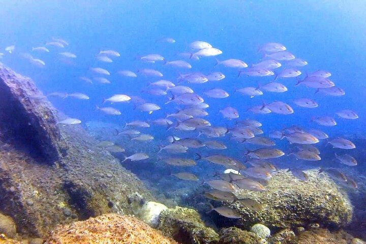2 Dives Package