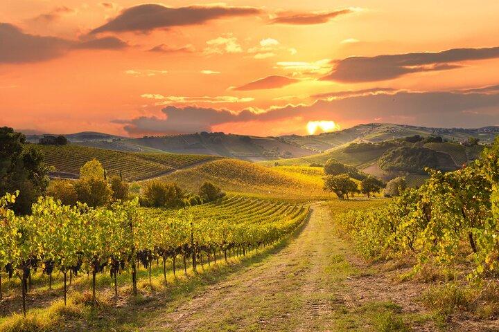Sonoma Winery Tour