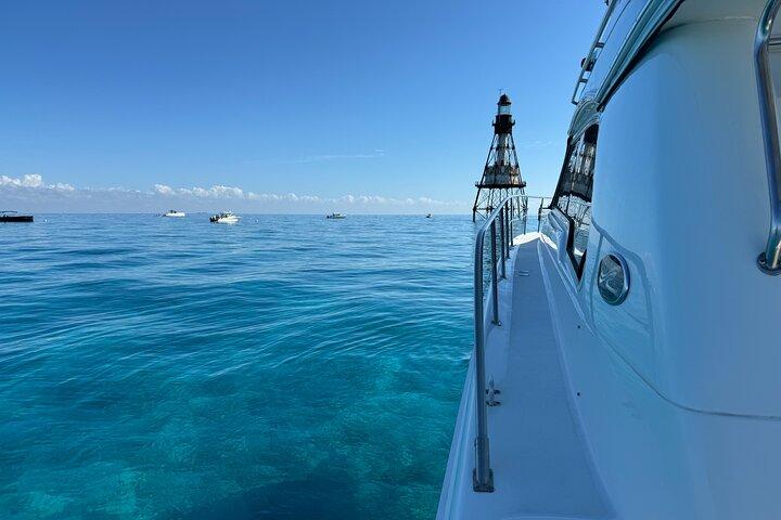 Miami Private 52 ft Bootstour | Sandbar, Delfine & Biscayne Bay!