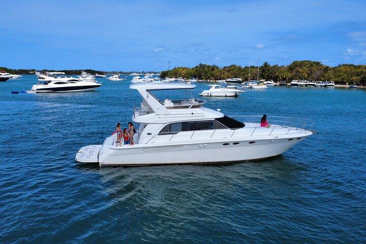 Miami Private 52 ft Bootstour | Sandbar, Delfine & Biscayne Bay!