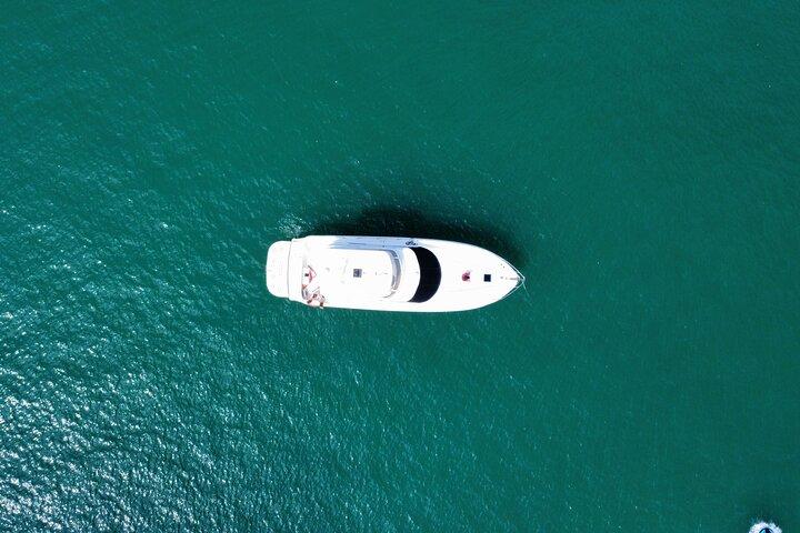 Miami Private 52 ft Bootstour | Sandbar, Delfine & Biscayne Bay!