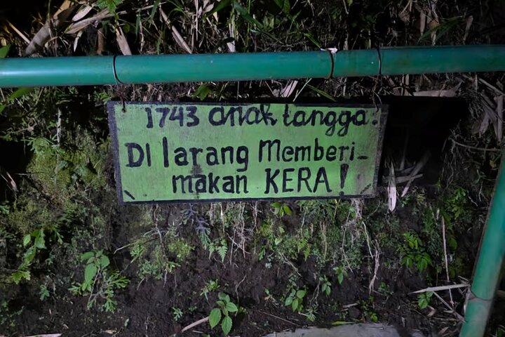 Yogyakarta vulkaner: Mount Merapi på en kulle (Lava View)