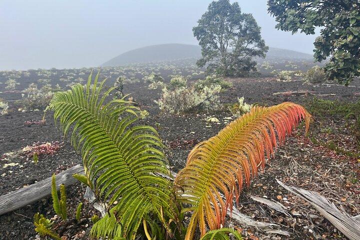 Escursione a Kīlauea e osservazione della lava con nativi hawaiani