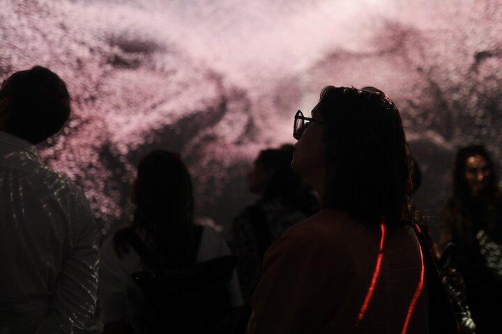 Wesoła Immersiveの没入型展示チケット