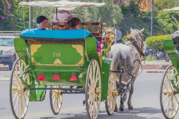 Marrakech: 1H-Horse carriage private tour in madina w/ pick-up