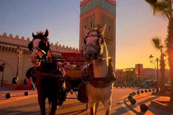 Marrakech: 1H-Horse carriage private tour in madina w/ pick-up
