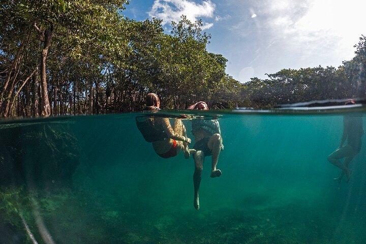Holbox: 3 Island Private Boat Tour