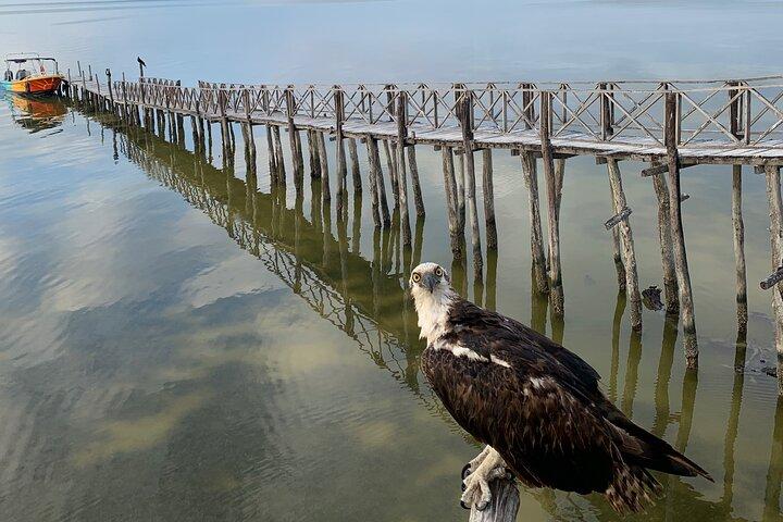 Holbox 3 Island Group Tour