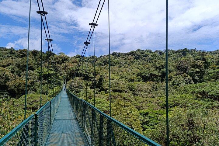 Monteverde Suspension Bridges Private Tour
