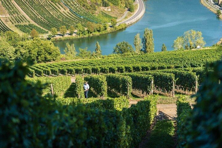 Lussemburgo : degustazione di vini della Mosella e tour privato di un giorno al castello