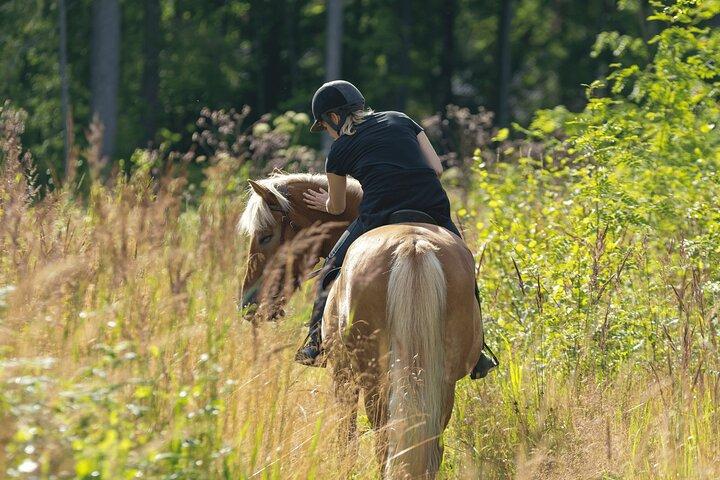 Vesuvius Sunset Horseback Ride & BBQ Experience!