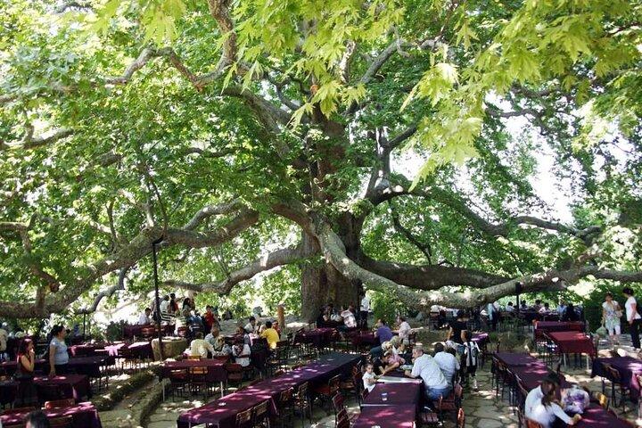 Private Iznik Nicaea Christian Heritage Tour from Istanbul