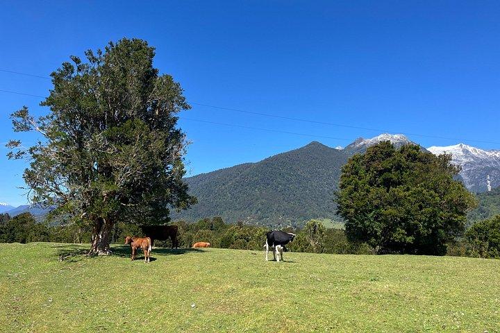 PRIVATE-Esperanza Valley Horse ride.