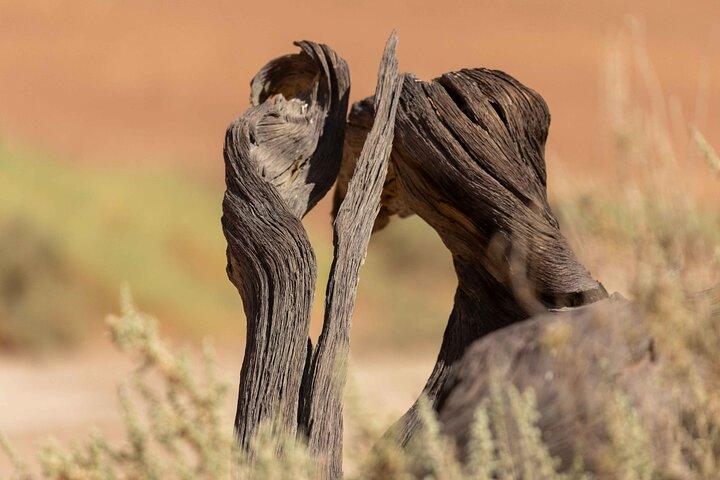 Tour guidato di 3 giorni nel deserto del Namib Sossusvlei