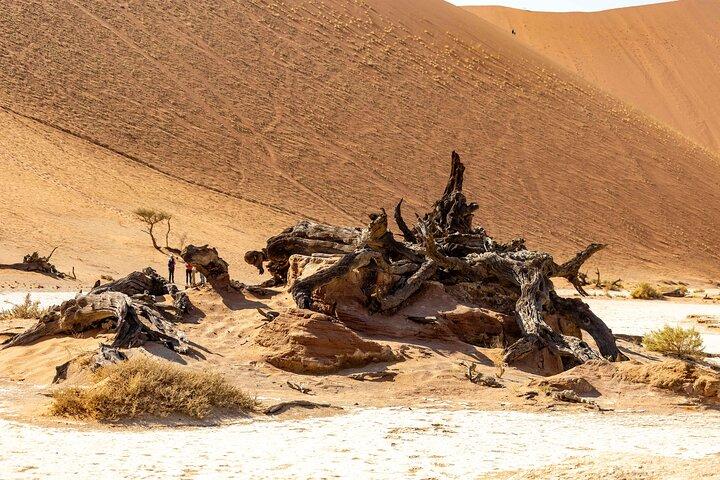 Tour guidato di 3 giorni nel deserto del Namib Sossusvlei