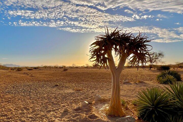 Tour guidato di 3 giorni nel deserto del Namib Sossusvlei