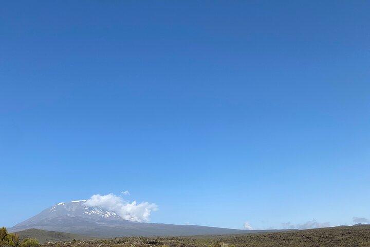 Kilimanjaro Day Hike på Lemosho Route
