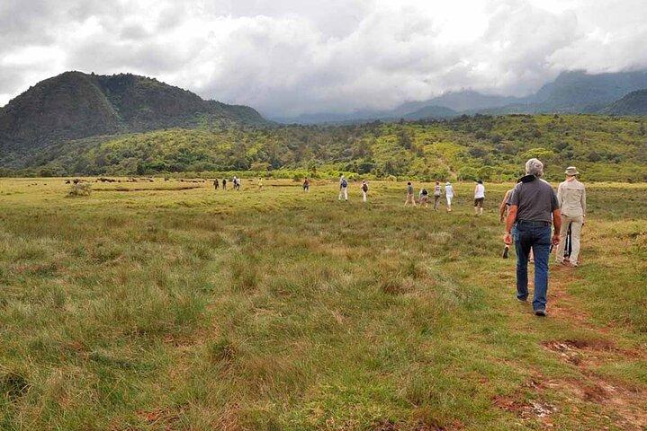 Arusha Nationaal Park Wandelen Safari en Game Drive