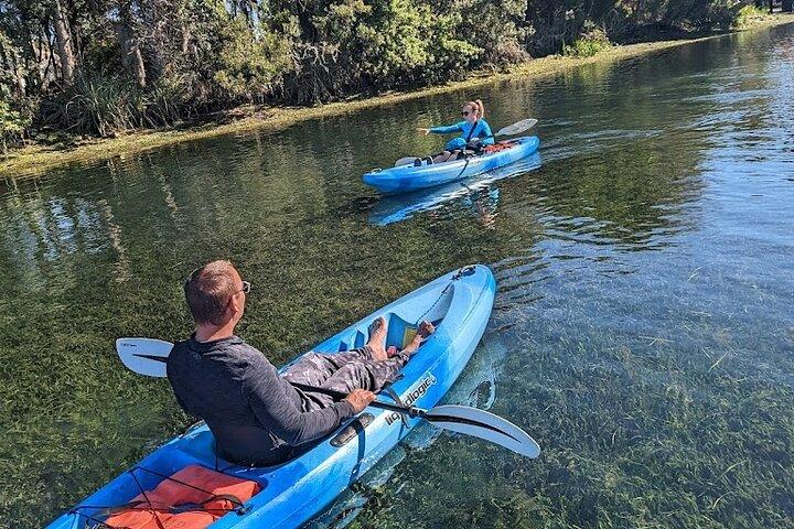 Alquiler de kayak individual en Crystal River | 2 horas | Ver los manatíes!