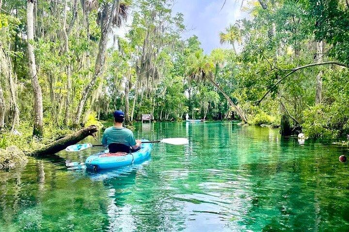 Location de kayak simple Crystal River | 3 heures | Voir les lamantins!
