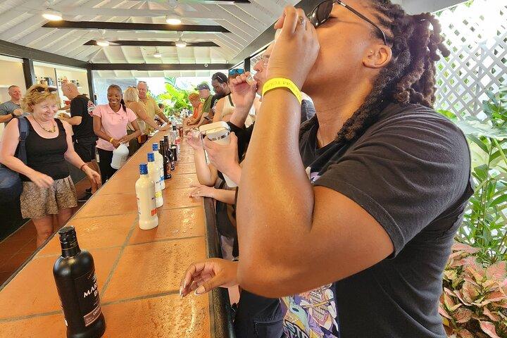 St Lucia Rum Distillery Tour com banho de lama e almoço local