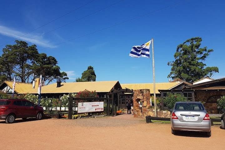 Private Tour in Punta del Este with a Local -Customizable Add-ons