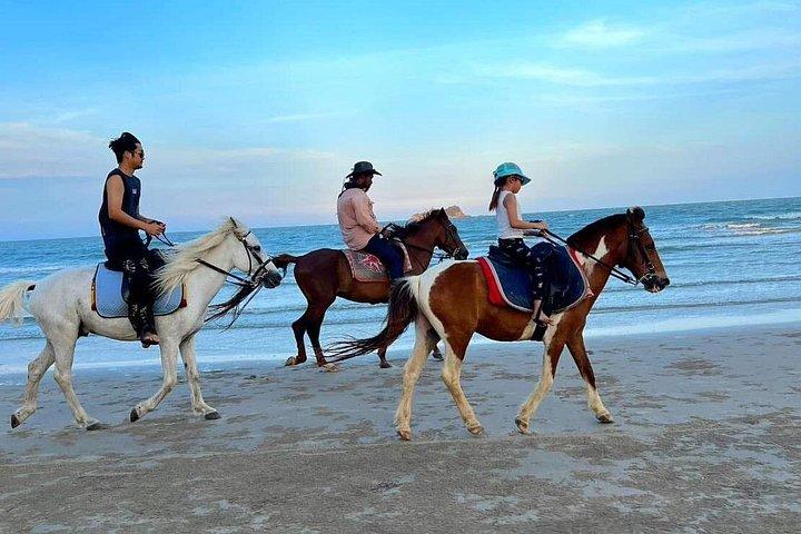 ホアヒンビーチ＆フォレストトレイルであらゆるスキルレベルに対応した乗馬