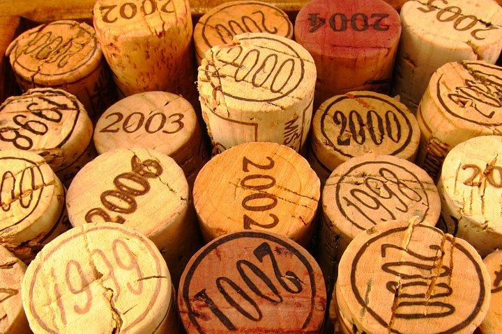 Athen Private Weinprobe Tour - Dionysische Trauben