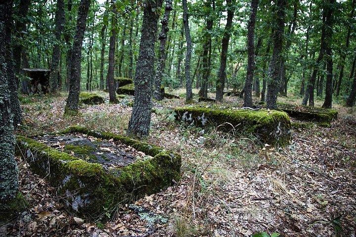 サラエボから東ボスニア&西セルビアユネスコ遺産日ツアー