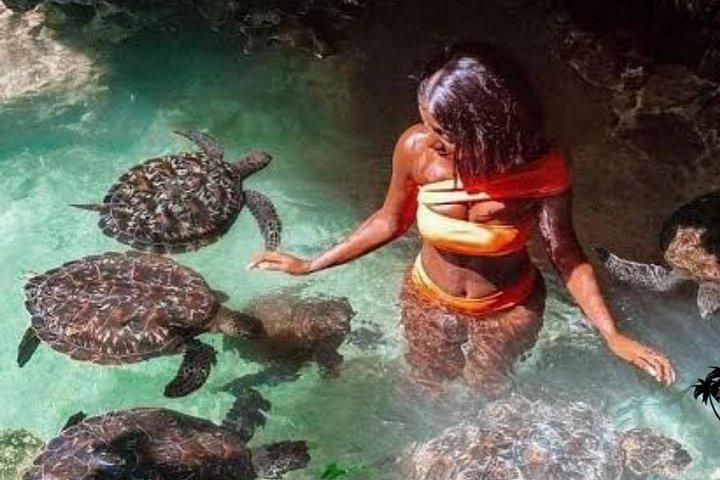 バラカ水族館のザンジバル泳ぎ＆シュノーケル＆餌付けカメ