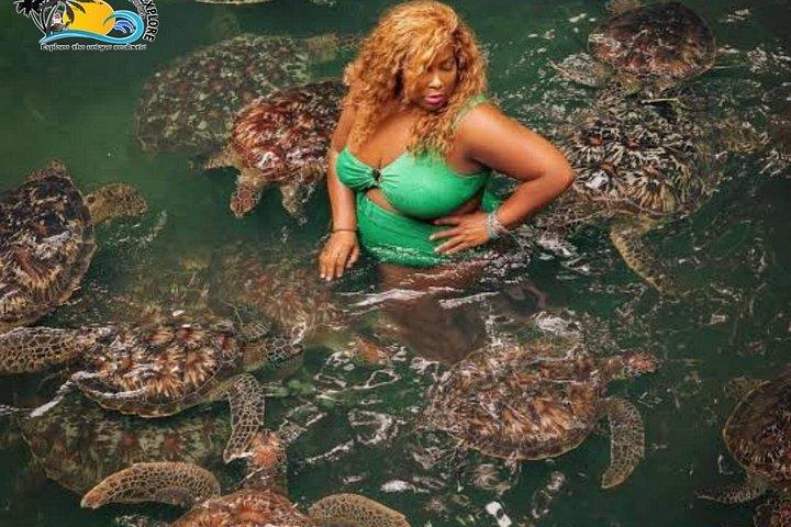 バラカ水族館のザンジバル泳ぎ＆シュノーケル＆餌付けカメ