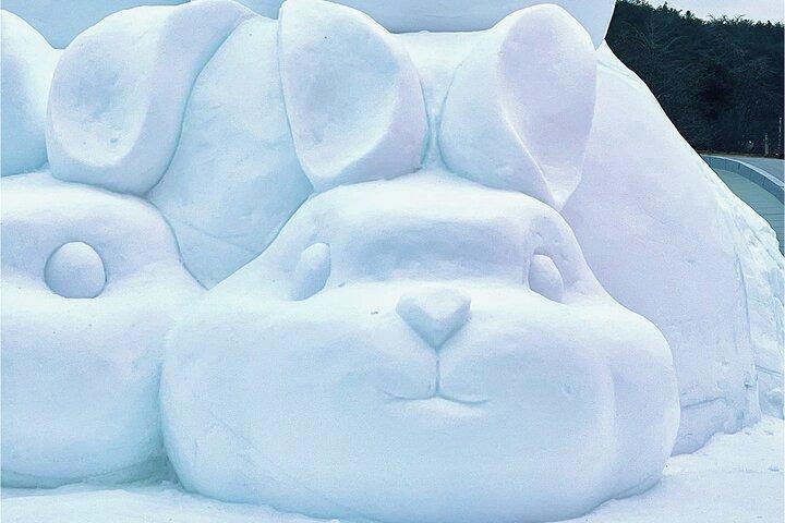 ソウル チョンヤンアルプス村 氷壁ツアーパスチケット