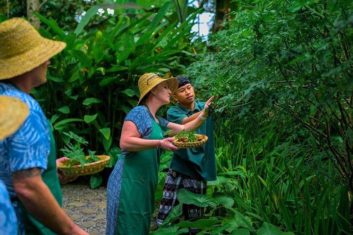 カウラ： 料理クラス＆プライベート送迎付きオプショナルツアー選択