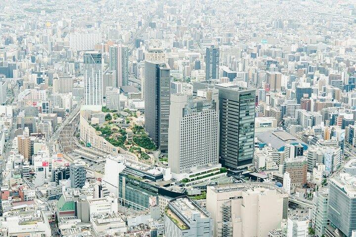 Osaka Private Cessna Voo sobre Osaka Castelo e UNESCO Sites